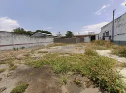 Vista 11