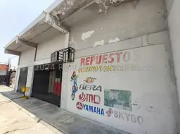 Vista 4