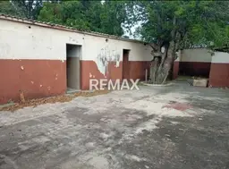 Vista 19