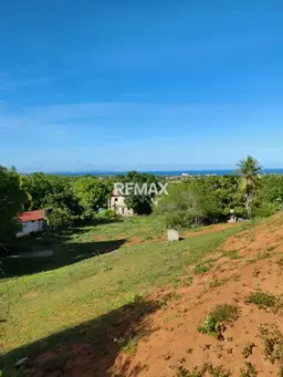 View 5