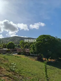 View 7