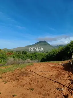 View 8