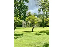 View 1
