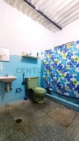 Vista 19