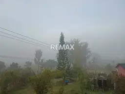 View 4