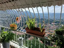 Vista 11