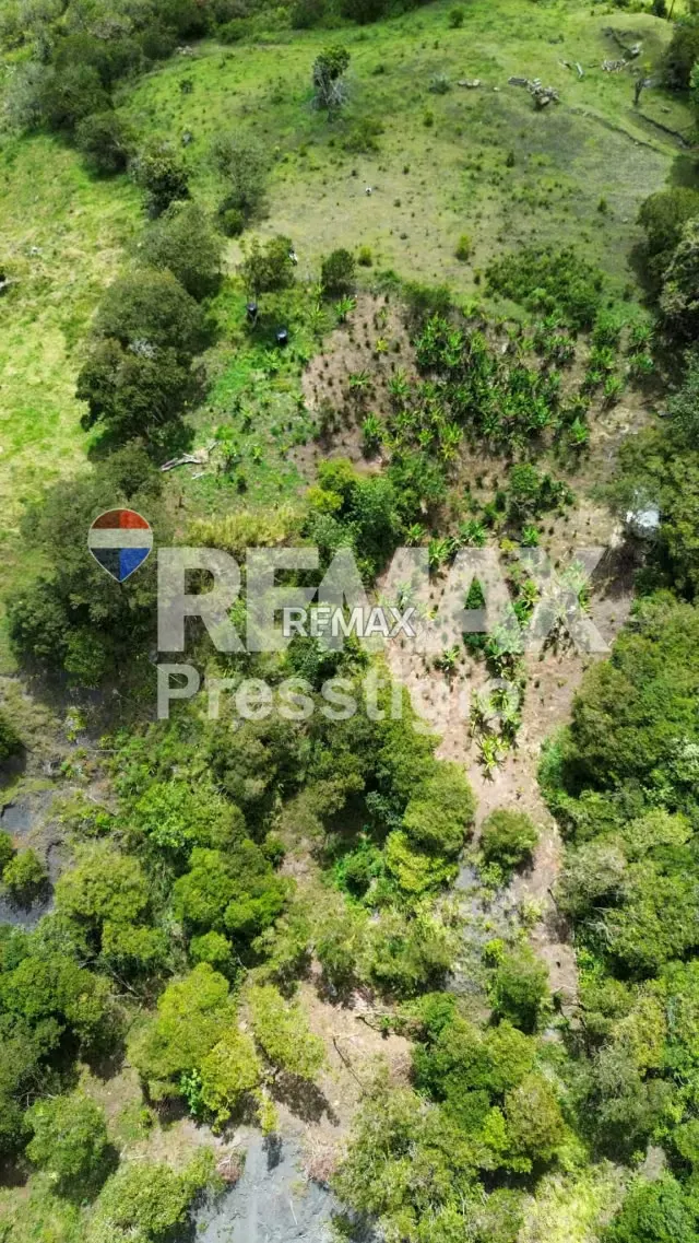 Finca Cafetera en Venta - 7