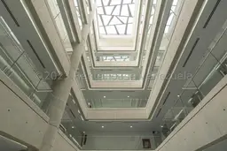 Vista 6