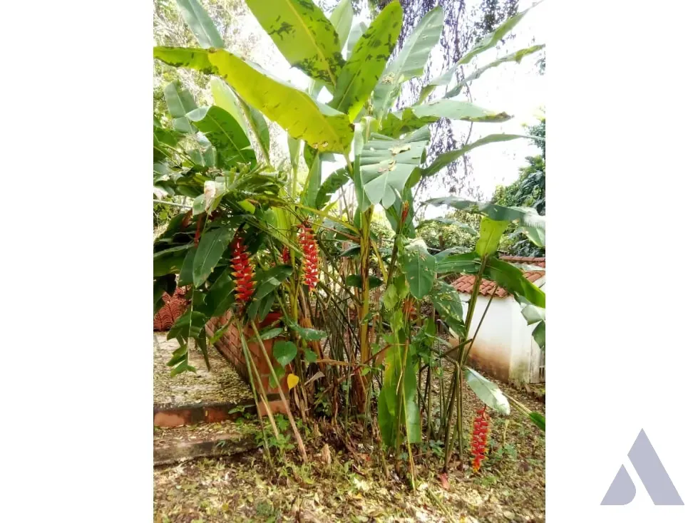 Vendo casa c/granja 525m2 Tinaquillo 8193 - 21