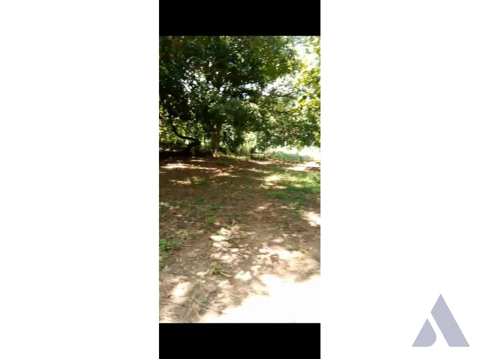 Vendo casa c/granja 525m2 Tinaquillo 8193 - 5