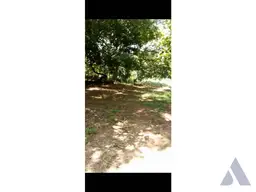 Vista 5
