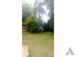 Vista 6
