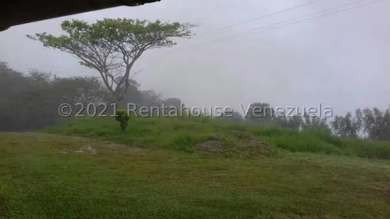 Terreno (Finca) en Venta en Sector El Kiosko, Yaracuy