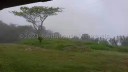 Vista 1