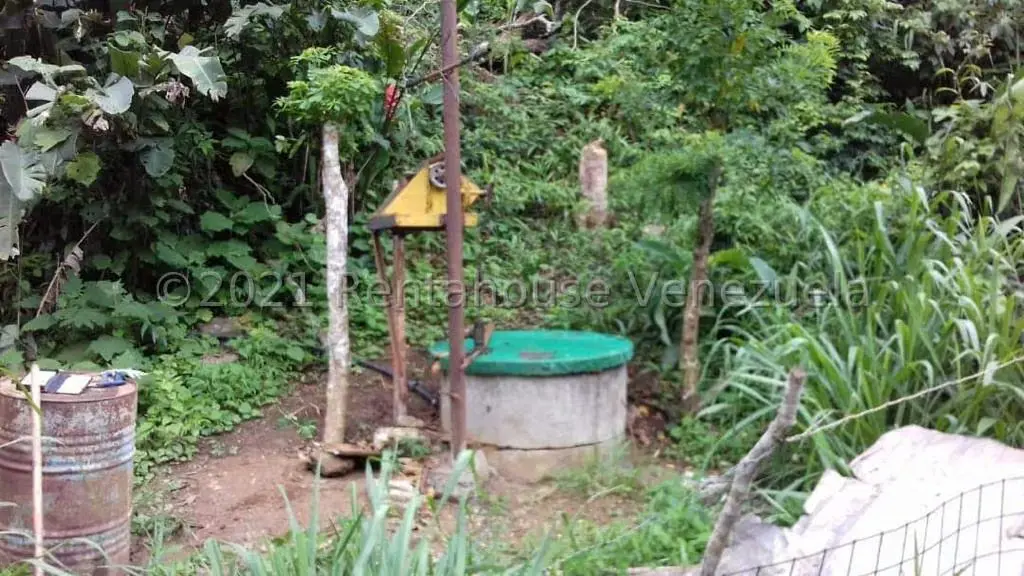 Terreno (Finca) en Venta en Sector El Kiosko, Yaracuy - 2