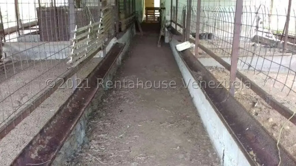 Terreno (Finca) en Venta en Sector El Kiosko, Yaracuy - 3