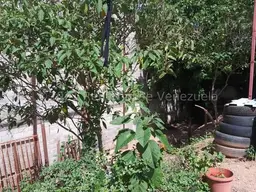 Vista 7