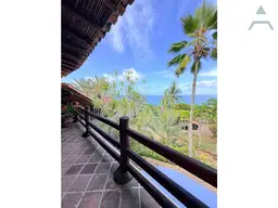 View 19
