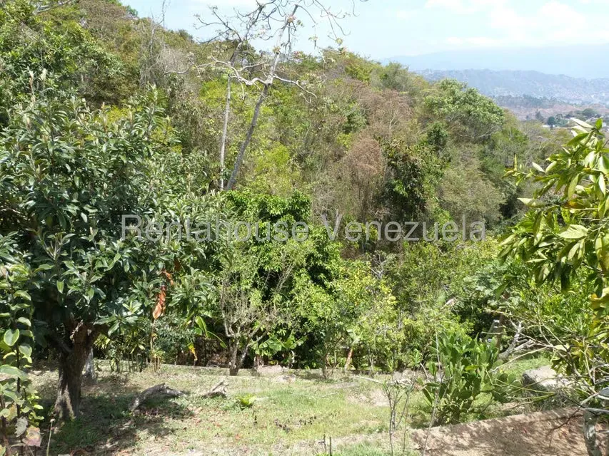 Casa (1 Nivel) en Venta en La Peña, Miranda - 24