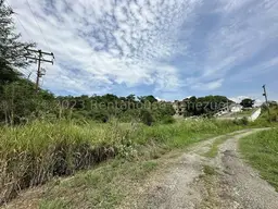 View 11