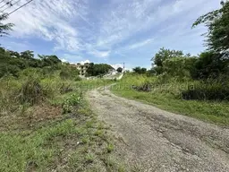 View 12