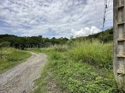 View 13