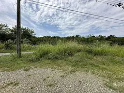 View 15