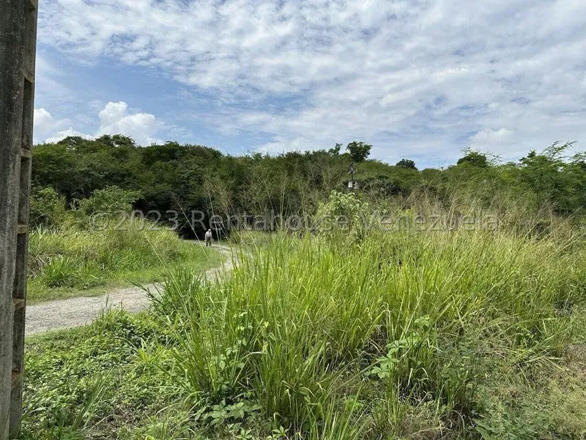Terreno (Residencial) en Venta en Mara Country, Miranda - 26