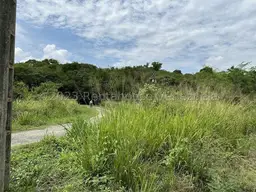 View 26