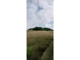 View 1