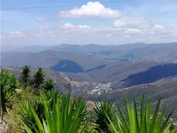 View 3