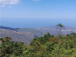 View 6