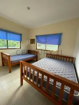 View 15