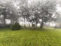 Vista 5