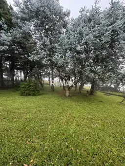 Vista 6