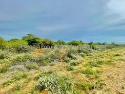 Vista 11