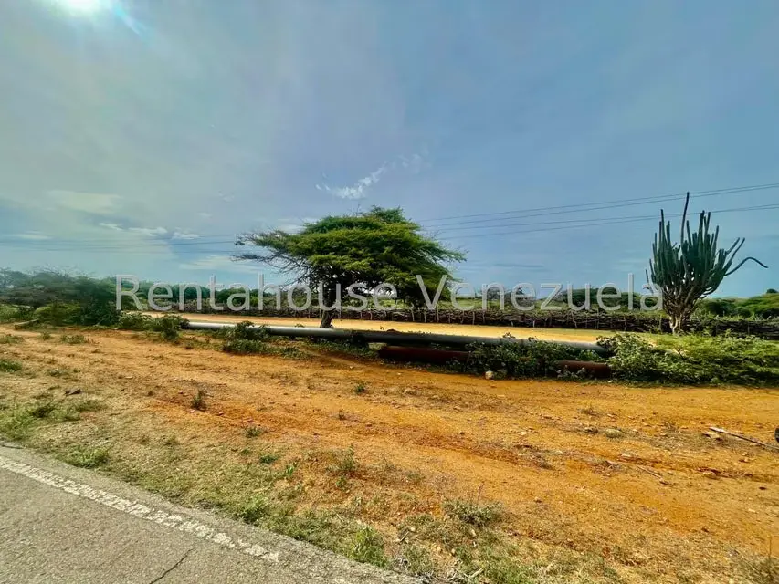 Terreno (Comercial) en Venta en Pueblo Nuevo, Falcon - 14