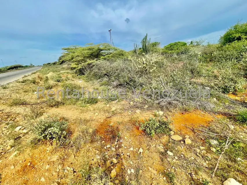 Terreno (Comercial) en Venta en Pueblo Nuevo, Falcon - 18