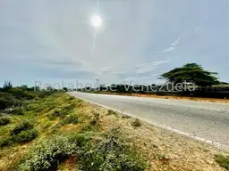 Vista 19