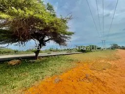 Vista 21