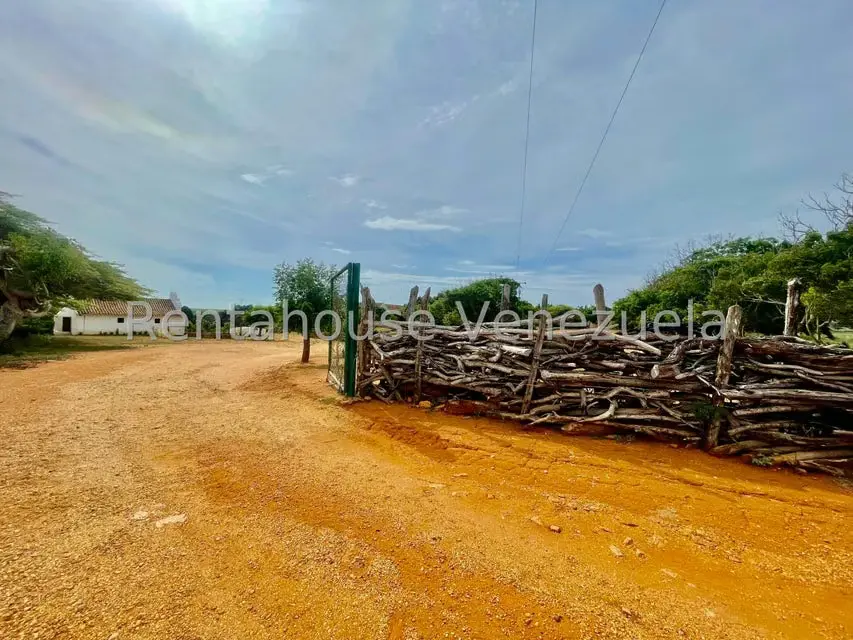 Terreno (Comercial) en Venta en Pueblo Nuevo, Falcon - 26