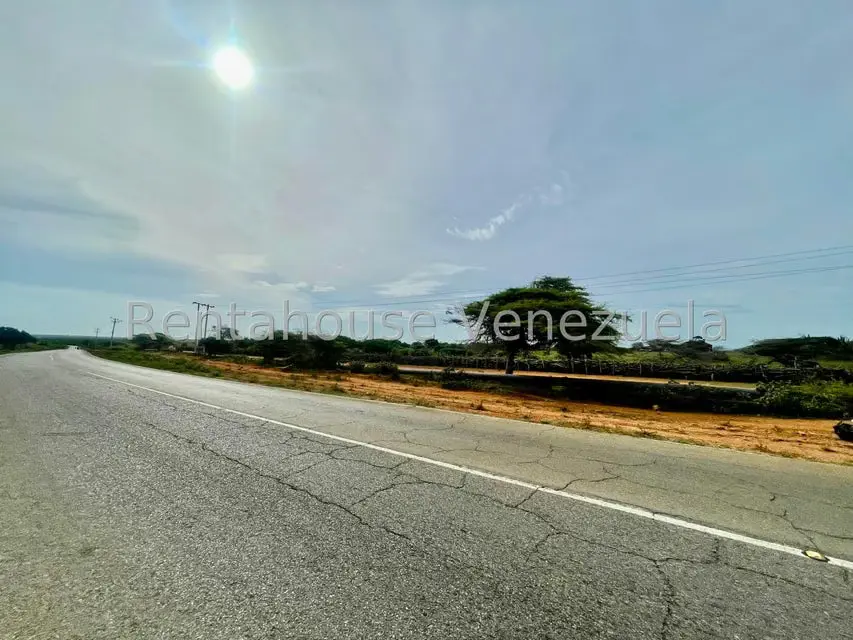 Terreno (Comercial) en Venta en Pueblo Nuevo, Falcon - 8