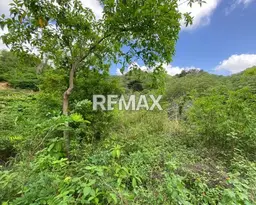 View 14