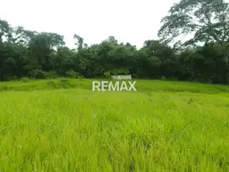 Vista 11
