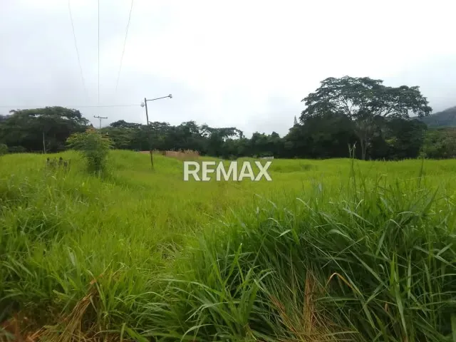 SE VENDE TERRENO CON CASAS (9 HECTAREAS) EN BEJUMA - 6