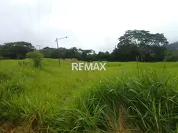 Vista 6
