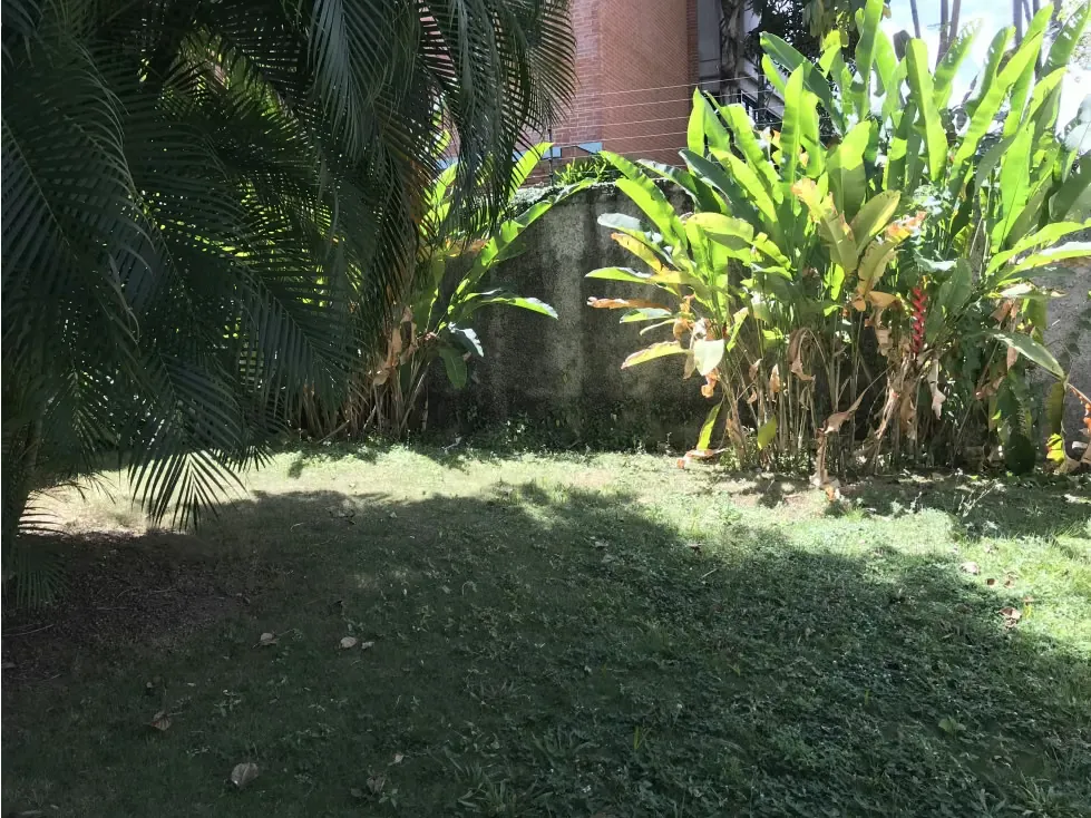 Se vende casa 350m2 Altamira 3625 - 5