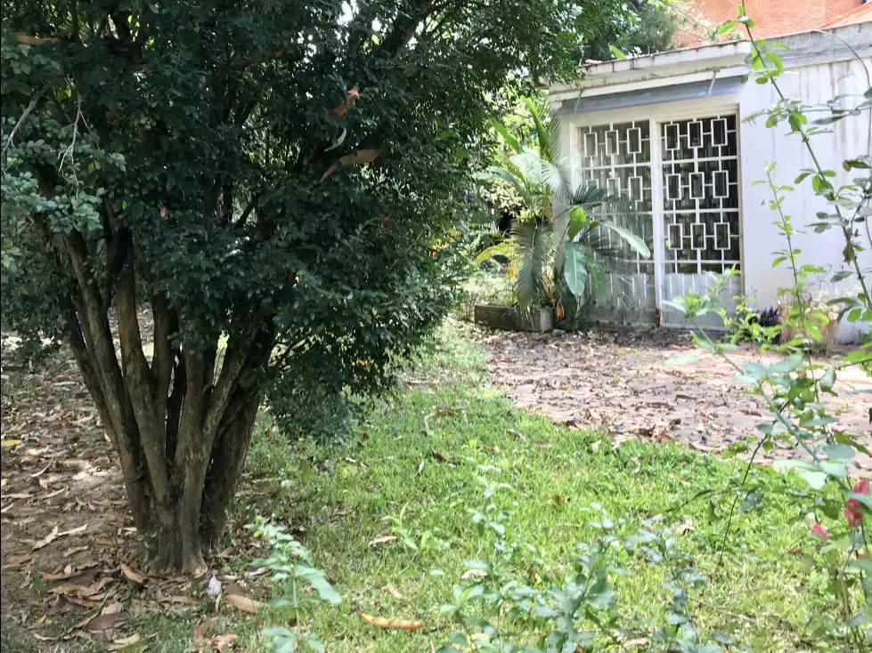 Se vende casa 350m2 Altamira 3625 - 8
