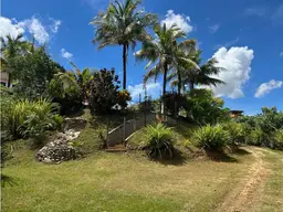 Vista 24
