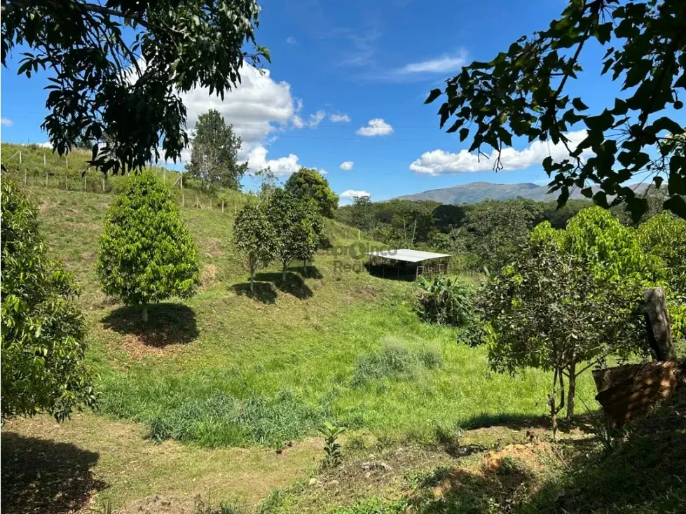 En venta Casa Campestre con Terreno en Bejuma Proyecto de Posada - 3